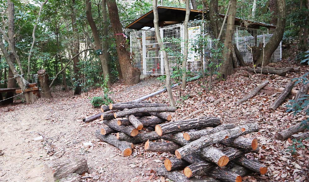 炭焼き小屋